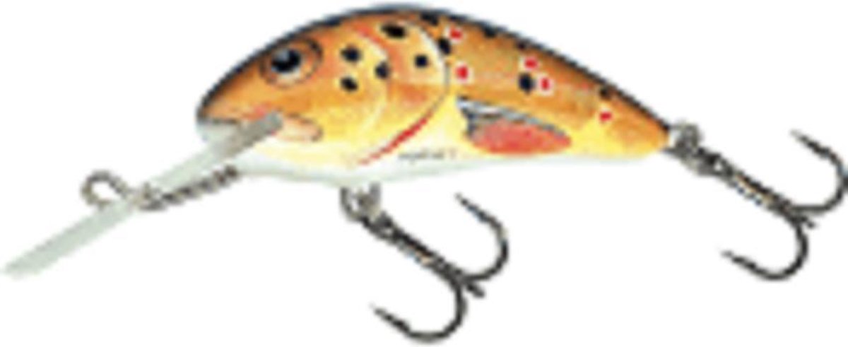 H5F TROUT