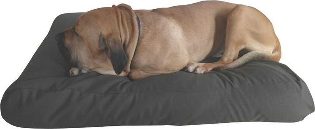 Topmast Comfortbag Hondenkussen Canvas Bruin 80 x 55 cm