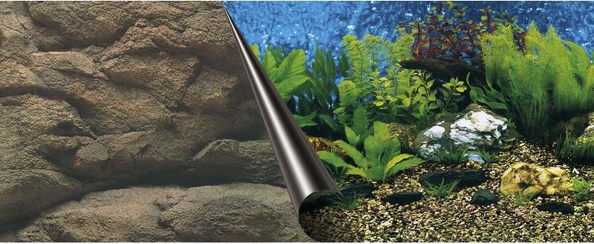 Auqa Della Poster achterwand sea & rock 80x40cm