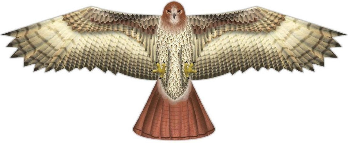 XKites Birds of Prey Hawk | eenlijner | Vogel