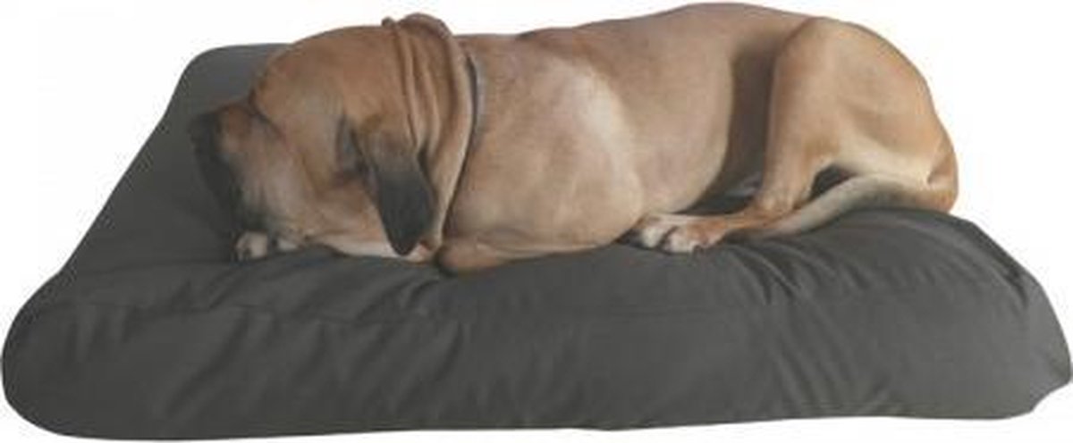 Topmast Hondenkussen Comfort Canvas Fyber vulling-Taupe Bruin 140x100cm