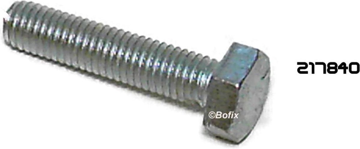 BOUT ZESKANTE KOP M3x30 mm (P.50)