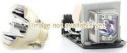 Optoma SP.8ZJ01GC01 Projector Lamp (bevat originele UHP lamp)