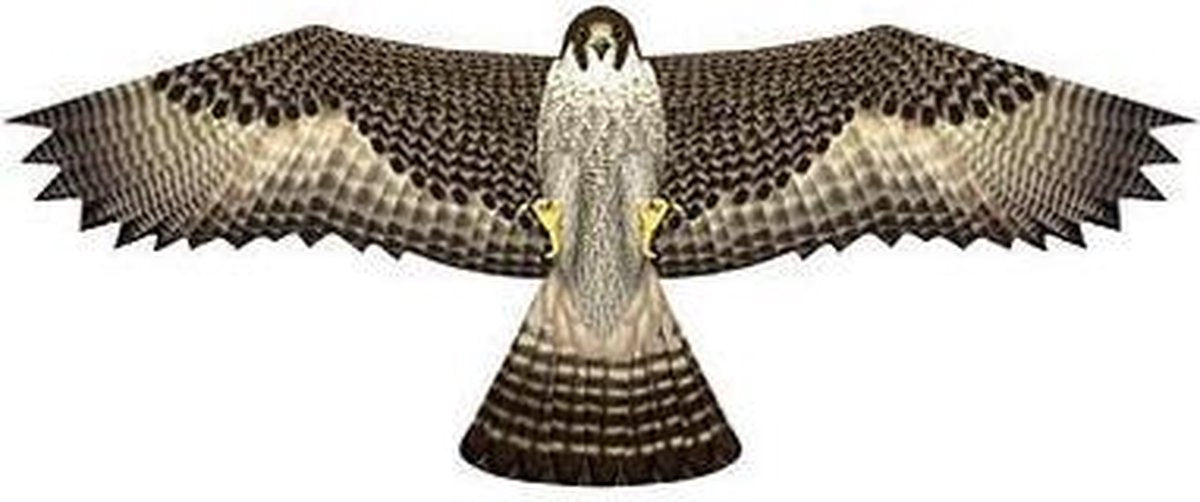 X-Kites Birds of Prey vlieger Valk 122cm
