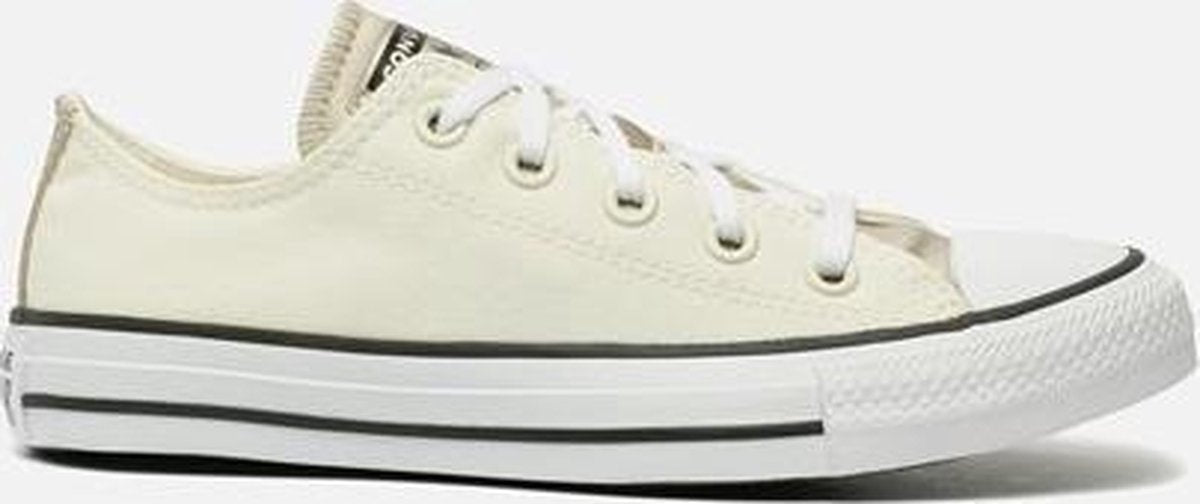 Converse Chuck Taylor All Star Mono Metal sneakers beige - Maat 41.5