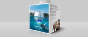 Power Vision Powerseeker Intelligent Fish Finder