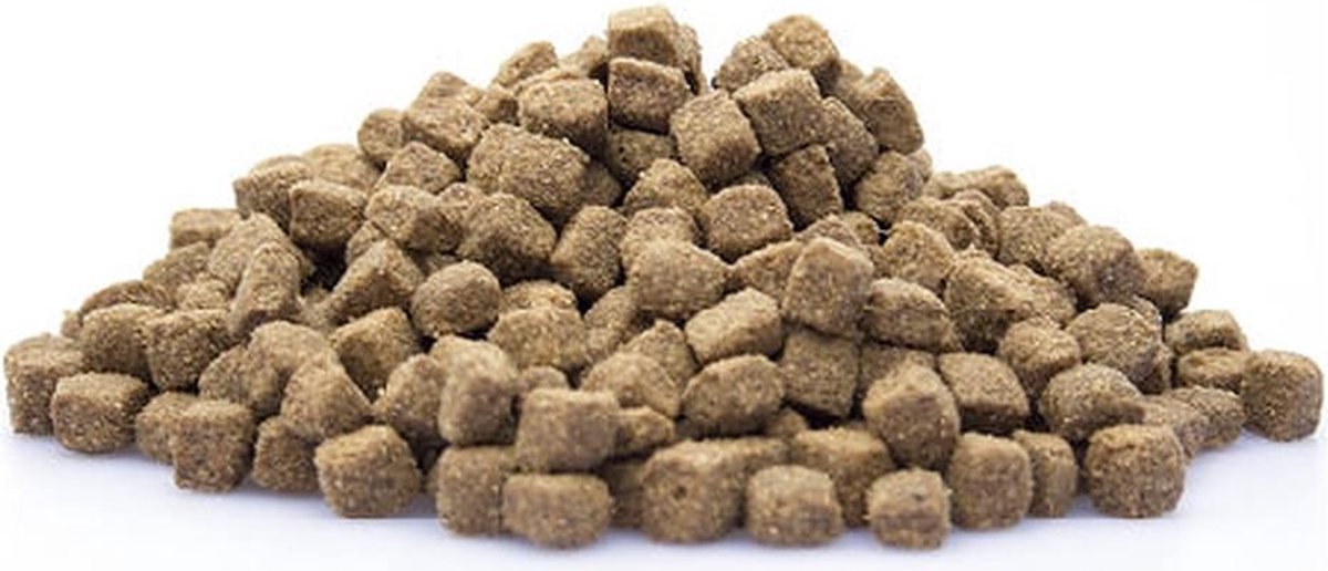 Adult Active - 10 KG - Hondenbrokken