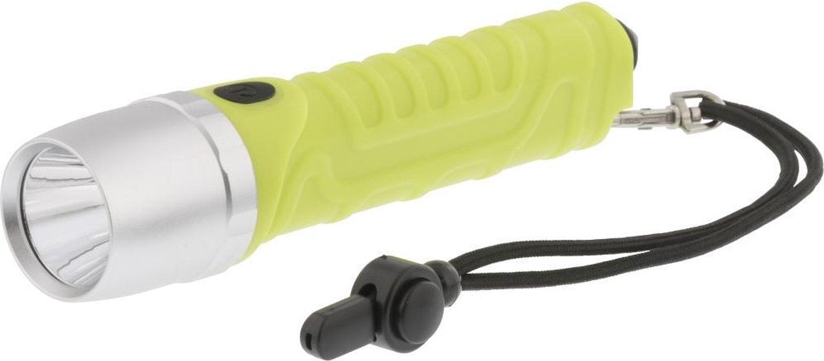 LED Torch 500 lm
