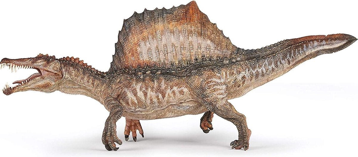 Speelfiguur - Dinosaurus - Spinosaurus Aegypticus - Limited edition - 18x38cm