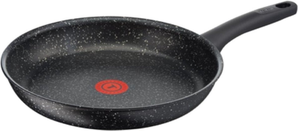 Tefal Everest Koekenpan met Thermospot - Aluminium - Steeneffect - 24 cm - C6360402