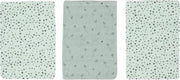 bébé-jou Fabulous Hydrofiel washandjes 3 stuks - Paper planes
