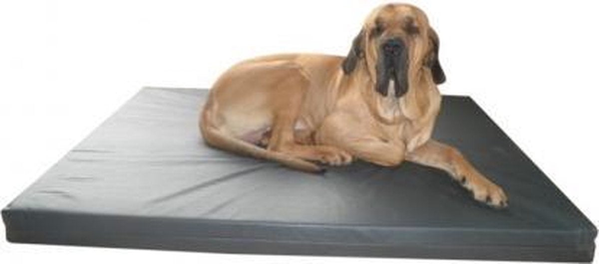 Boxcomfort Gezondheidsmatras 100x75cm Leatherlook Antraciet