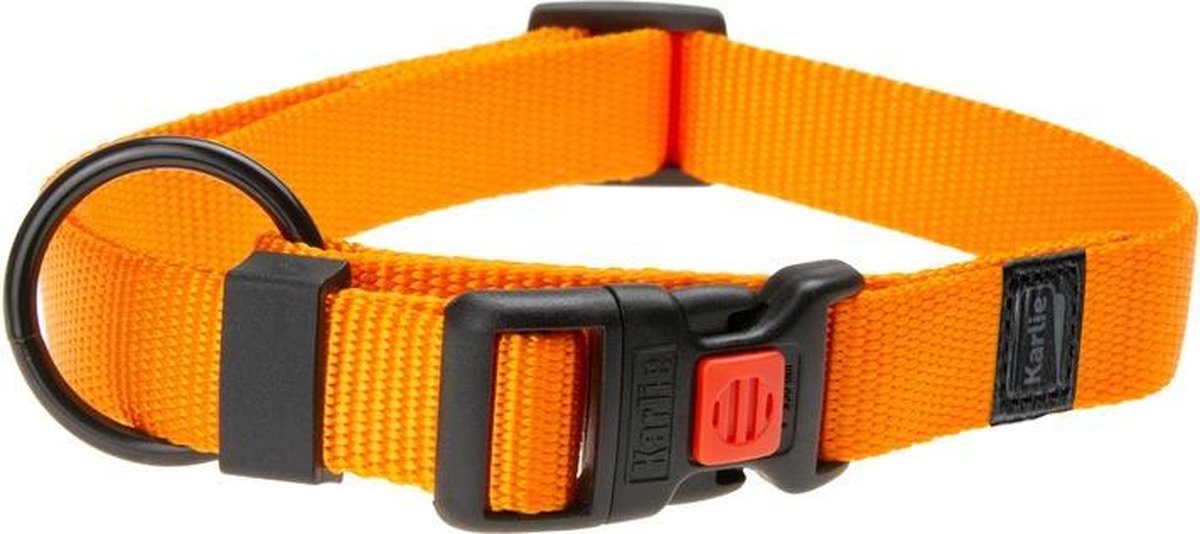 Art sportiv plus collar