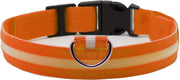 Led halsband - Lichtgevend - Veiligheid - Hond - Kat - Oranje - XL - Pixypet