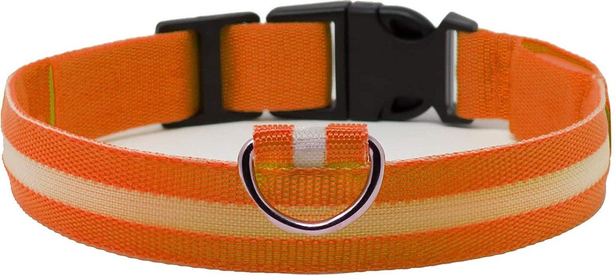 Led halsband - Lichtgevend - Veiligheid - Hond - Kat - Oranje - L - Pixypet