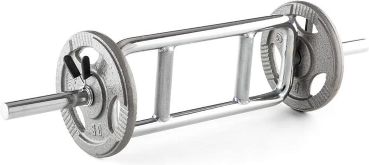 CAPITAL SPORTS Accretor RTB triceps trainingshalter - chroom - 2 x Veersluitingen - Draagkracht: Max. 200 kg