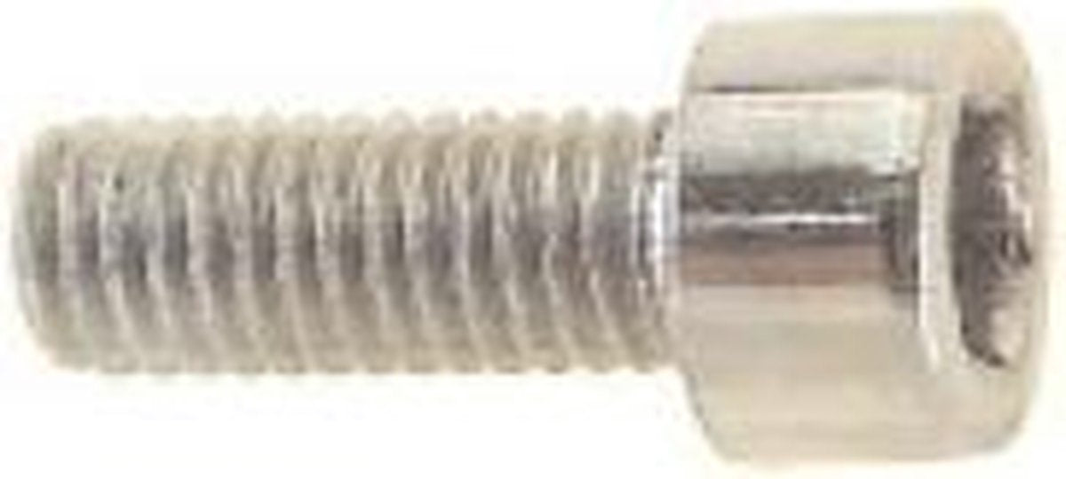 Inbusbout M6x45 per 12