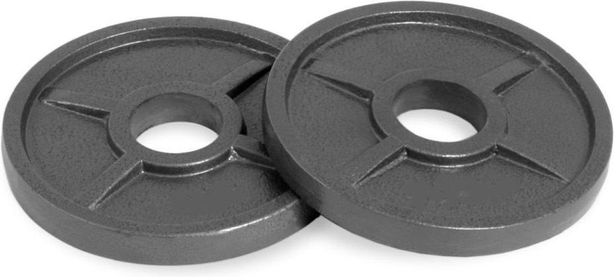 Dione Halterschijf 15kg - 30mm - Gietijzer