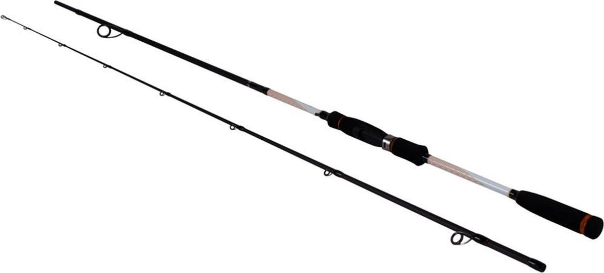DLT Blackwater Dropshot - 7-32g - 2.70m - Zwart