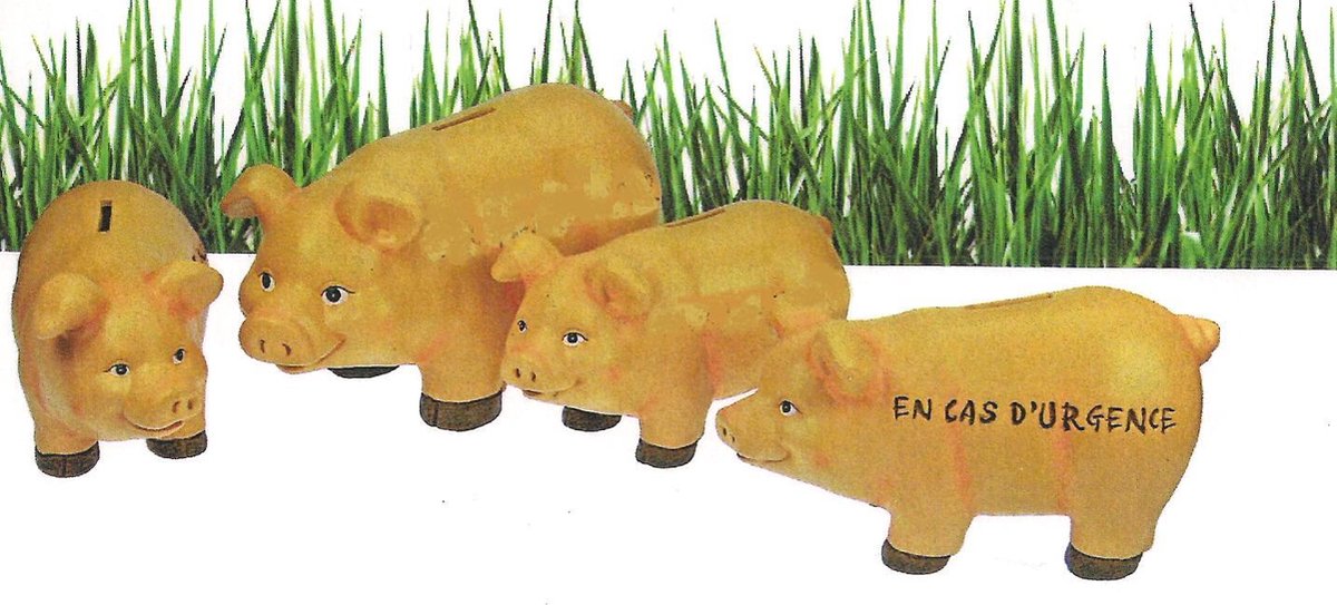 spaarvarken - tirelire cochon 21cm En cas d`urgence
