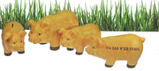 spaarvarken - tirelire cochon 21cm En cas d`urgence