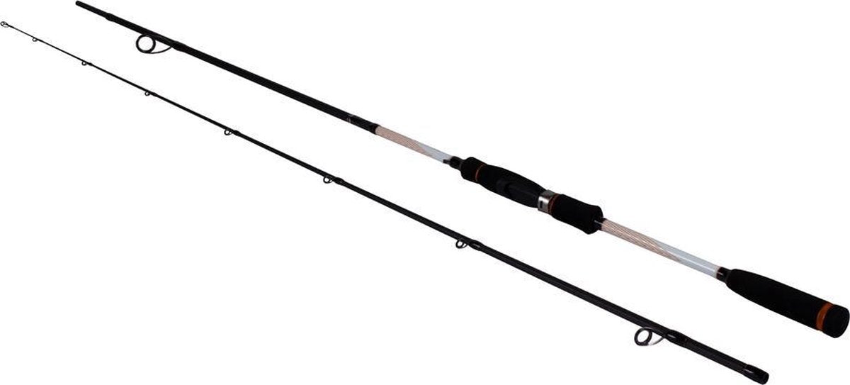 DLT Blackwater Dropshot - 7-32g - 2.40m - Zwart