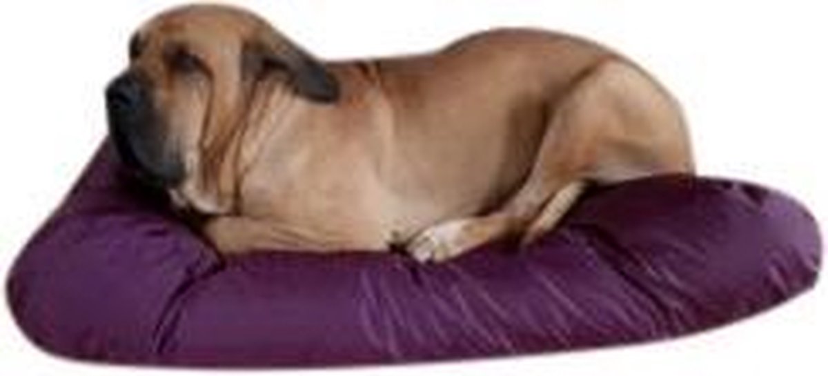 Comfortbag Hondenkussen Nylon Aubergine 80 x 55 cm