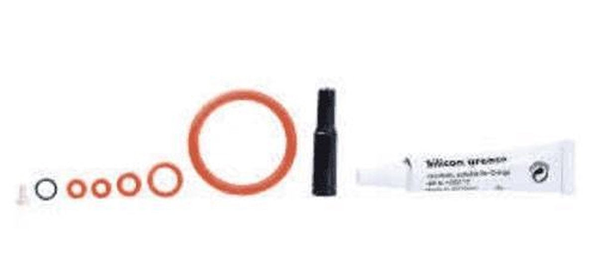Saeco Set Revisie set inclusief siliconenvet SUP012