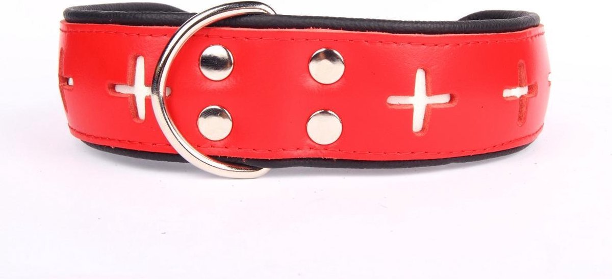 Dog's Companion - leren halsband - Swiss - 51-60 cm x 50 mm - Rood
