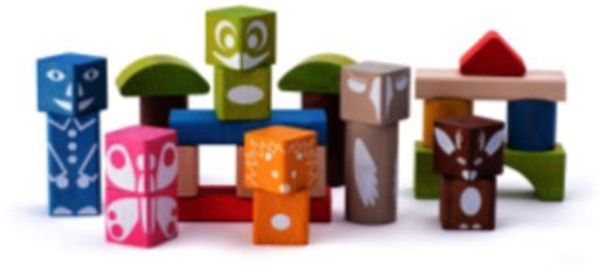 Woody 26 houten blokken met print