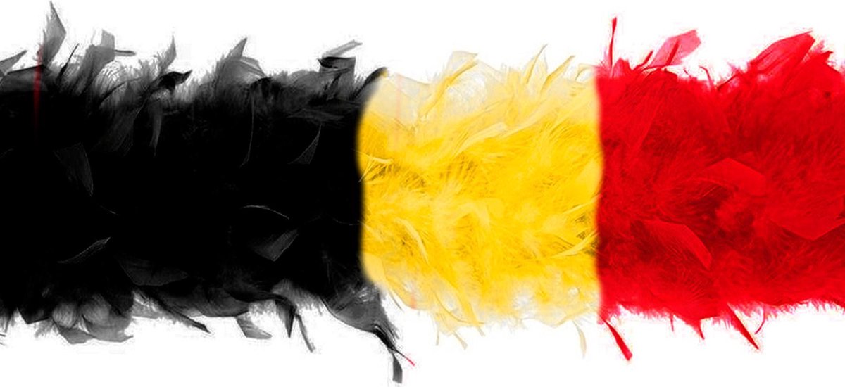 Boa - Belgische driekleuren - Voetbal - carnaval - Boa's 5 stuks