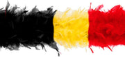 Boa - Belgische driekleuren - Voetbal - carnaval - Boa's 5 stuks