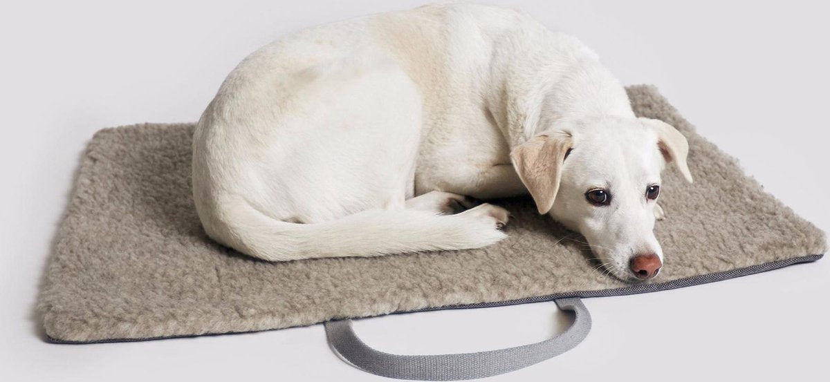 Travel Bed Tweed Taupe (Medium)