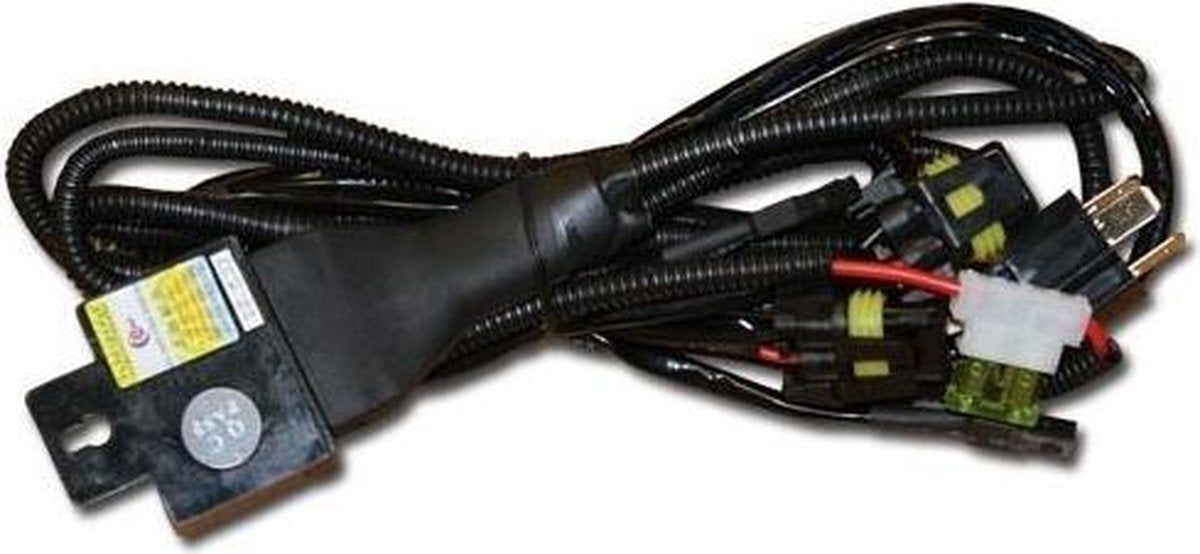 H4 Bi Xenon Kabelboom
