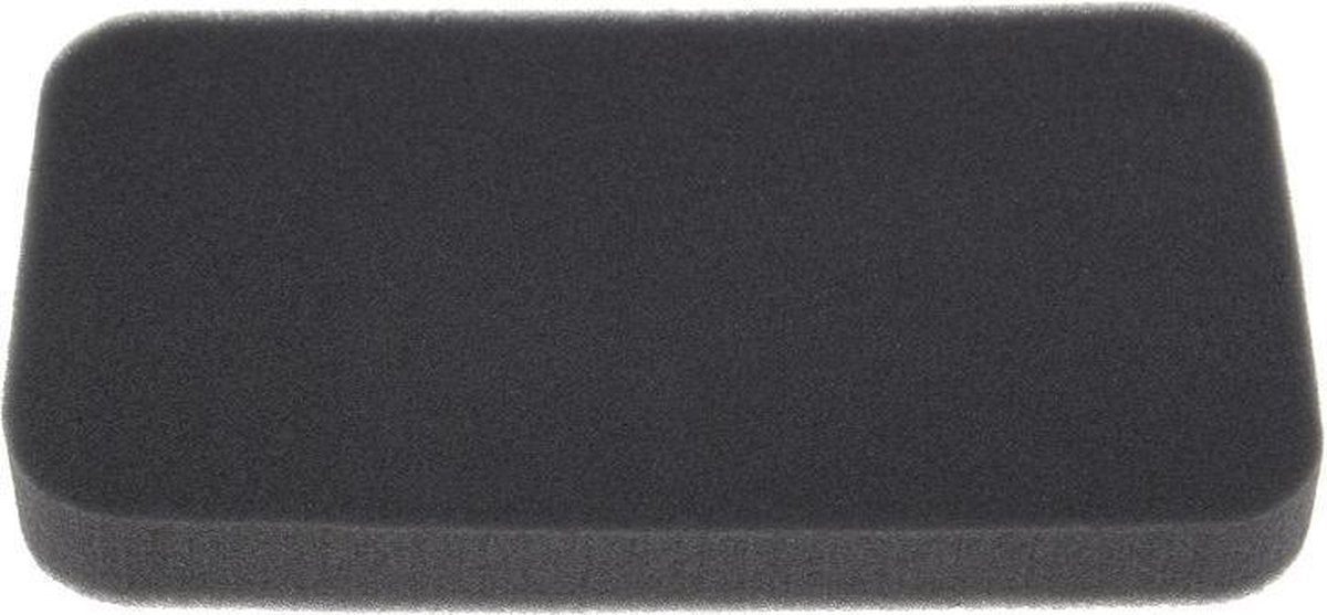 Rowenta Schuimfilter RS-RT3658