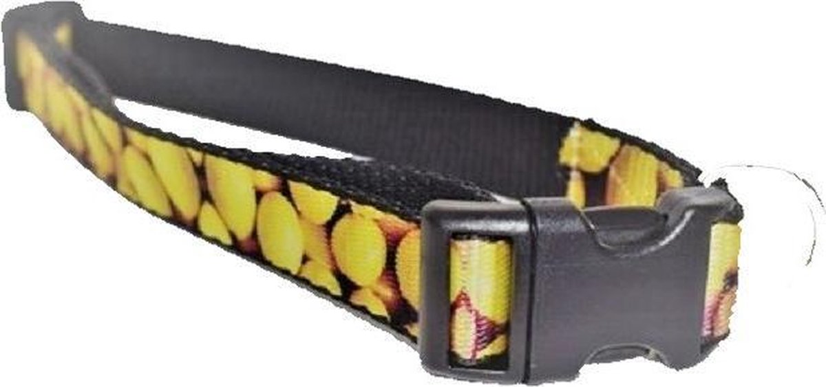 Hondenhalsband citroen XS