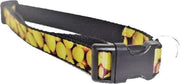Hondenhalsband citroen XS
