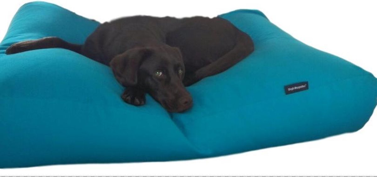 Dog's Companion Hondenkussen - L - 115 x 85 cm - Aqua blauw
