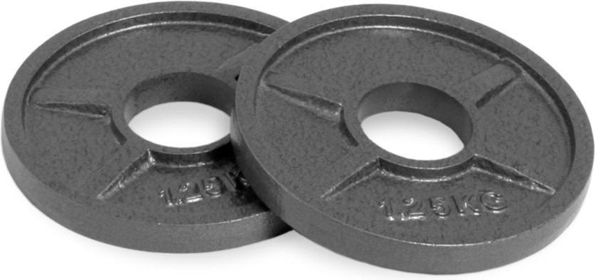 Dione Halterschijf 1.25kg - 30mm - Gietijzer