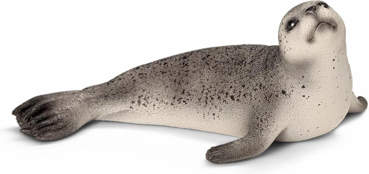 Zeehond