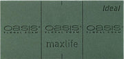 OASIS®  Floral Foam Steekschuim | Ideal | 20x | 23 x11x8 CM