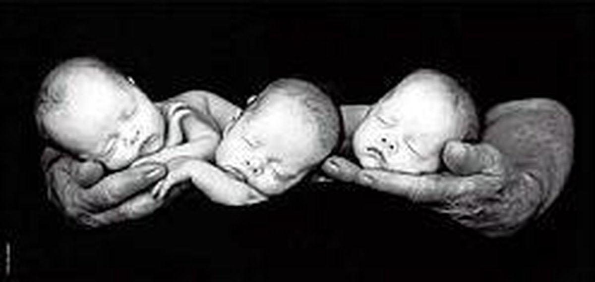 Anne Geddes legpuzzel Drieling 750 stukjes