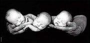 Anne Geddes legpuzzel Drieling 750 stukjes