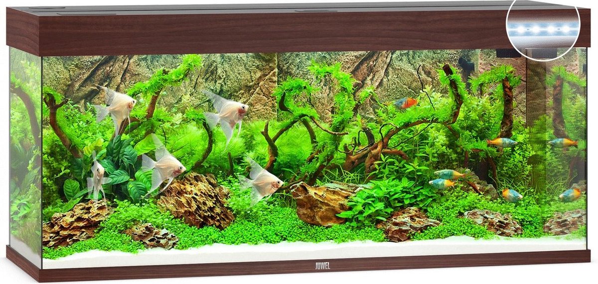 Juwel Aquarium Rio 240 Led 121x41x50 cm - Aquaria - Donker Hout