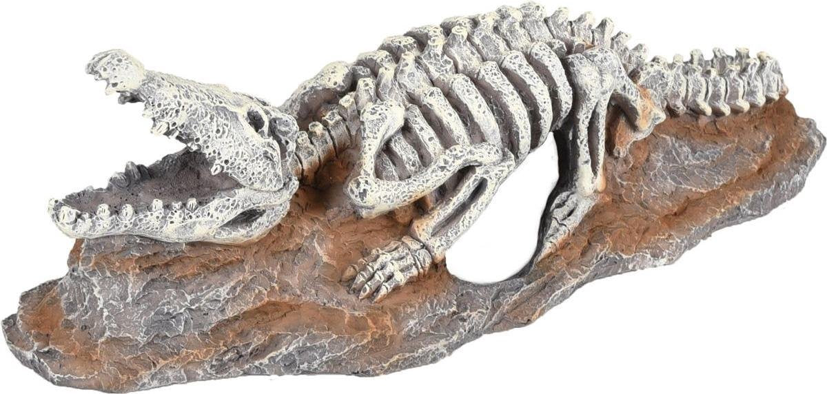 Aquarium decoratie Skelo Skelet Krokodil - 20 x 8 x 6 cm