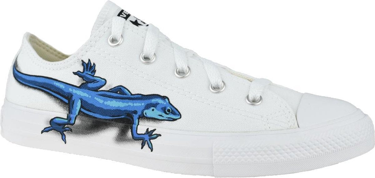 Converse Lizards Chuck Taylor All Star Low Kids 667532C