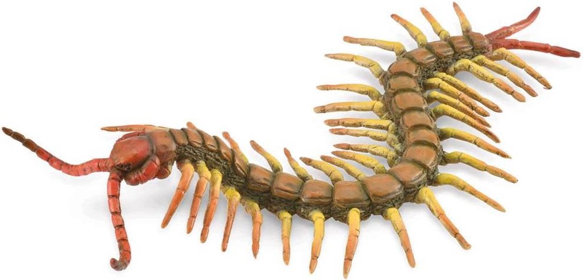 Collecta Insecten (L): DUIZENDPOOT 18x3cm