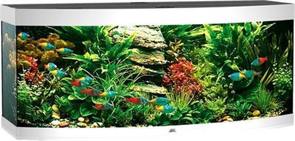 Juwel Vision 450 Aquarium - 151x61x64cm - 450L - Wit