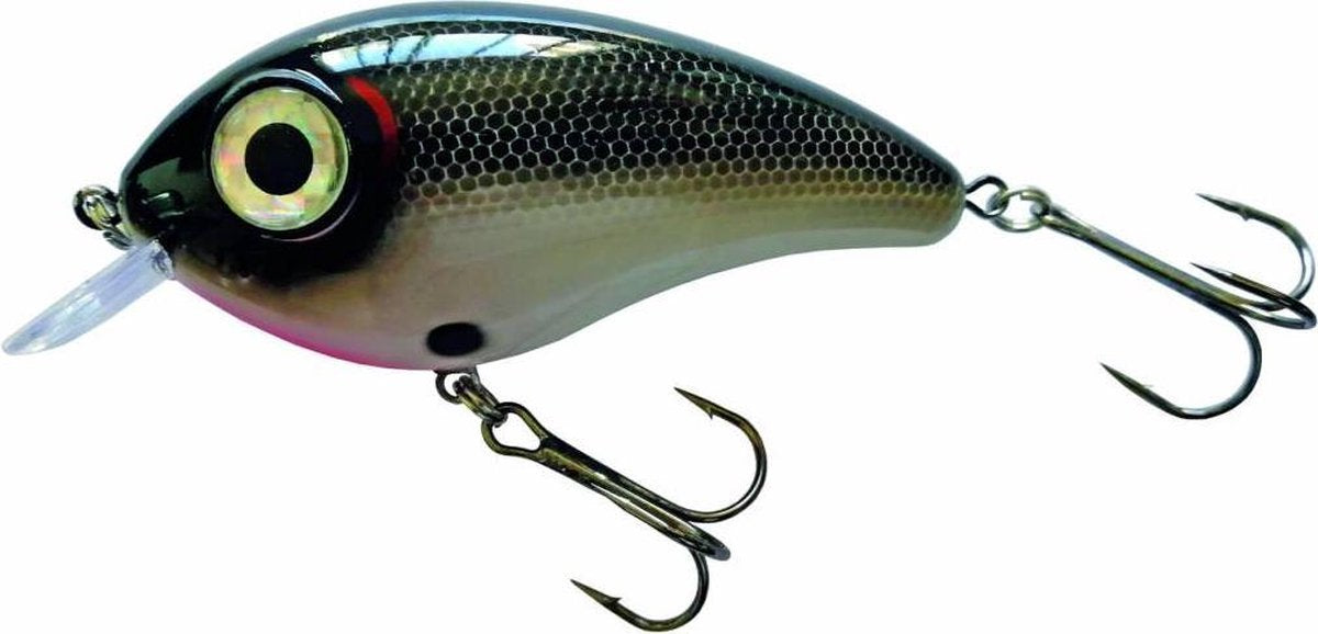 PREDOX Big Eye Joe - 11