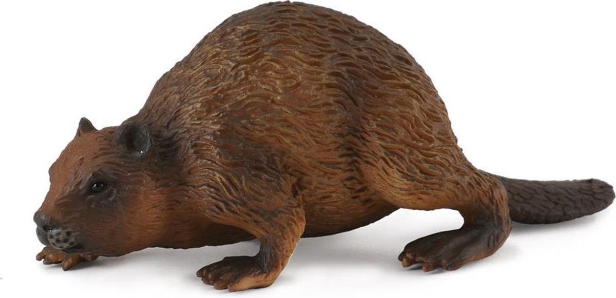 Collecta Bosdieren (M): BEVER 5.5x4x3.5cm